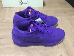 Item thumbnail for item 6292eb18-5fb8-4b1f-8f1a-b2f9a3800935