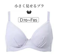 Wacoal 小さく見えるブラ E75 ワインレッド