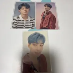 舞い落ちる花びら SEVENTEEN hmv carat盤 ウォヌ トレカ