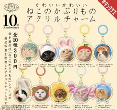 かわいいかわいい　ねこのかぶりもの　アクリルチャーム　ねこキーホルダー