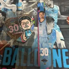 Item thumbnail for item da47667d-3513-4e5c-bdbd-993c0b917c01