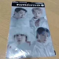 【SEVENTEEN 】クリアファイル 4人デザイン