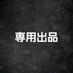 専用出品