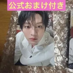 StrayKids☆ペンミ グッズ オンライン特典 トレカ リノ