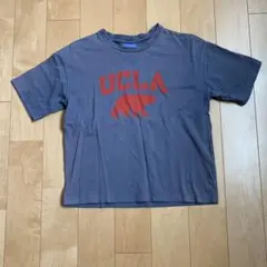UCLA グレー Tシャツ
