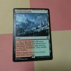 2025年最新】樹木茂る山麓 mtgの人気アイテム - メルカリ