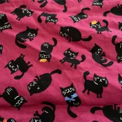 黒猫生地ピンク
