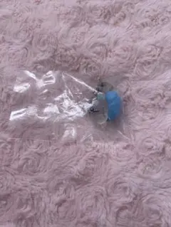 ちいかわ めじるしアクセサリー2 モモンガ ガチャガチャ