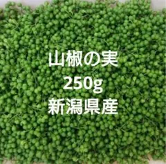 山椒の実 250g 新潟県産③のサムネイル