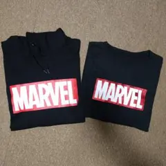 Item thumbnail for item 351edf3e-a0fe-4cf3-bf14-a4f8f0cc35c1