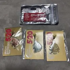 ARASHI 5×20 Anniversary Tour キーホルダー セット