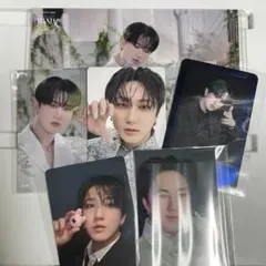 チャンビン　トレカ　ラントレ