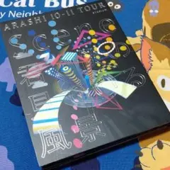 嵐「scene 君と僕の見ている風景　STADIUM」初回限定盤DVD2枚組