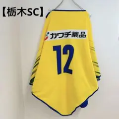 Item thumbnail for item 3e14f4f5-6638-43d3-859d-4f41aeab5e35