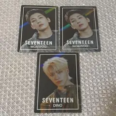 SEVENTEEN ウォヌ ディノ トレカ ウエハース