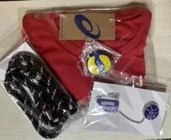 Item thumbnail for item 748afad8-6bfc-4752-ac4a-2a351bb589c1