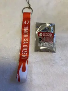 ソフトバンク　シークレットボンフィンキーホルダー　47 大関友久