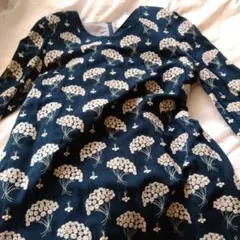 サリースコット