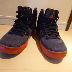 Nike Air Jordan シューズ