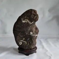 門司梅花石 鑑賞石 水石 自然石 二輪 - メルカリ