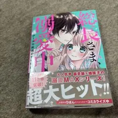 総長さま、溺愛中につき。2