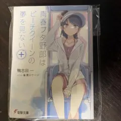 青ブタ 小説 全巻セット 最安値 - メルカリ