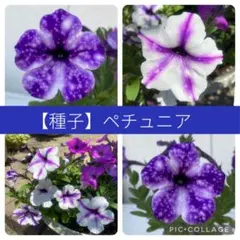 terimi.takgi様 リクエスト 4点 まとめ商品