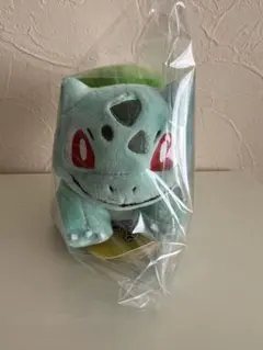 Pokémon fit フシギダネ ポケモン