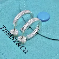 【美品】ティファニー　ナロー　フープ　ピアス　スモール　スリム　両耳　シルバー