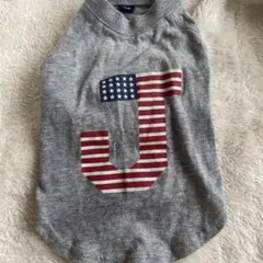 Item thumbnail for item 3d89d6a4-28ff-463c-ae82-d22a2f95007d