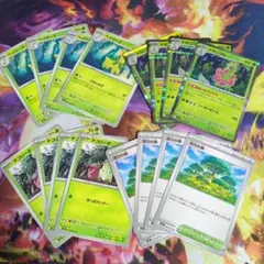 メガニウム進化ライン　4枚セット　ゆうゆうメルカリ便