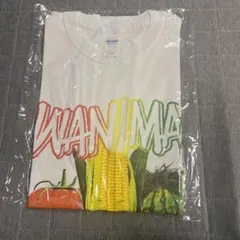 WANIMA Tシャツ　14