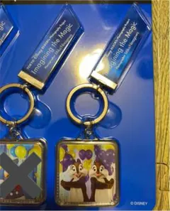 ディズニー イマジニングザマジック キーチェーン