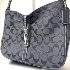 COACH ショルダーバッグ ワンショルダー シグネチャー 6091 ブラック