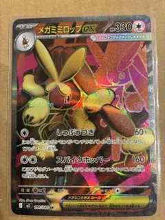 ショウイチロウ様 リクエスト 2点 まとめ商品