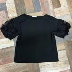 Item thumbnail for item 669a9808-9ff8-4db4-8459-dfab31c819b6