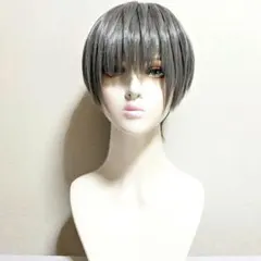 みぃ/次回発送日2月27日様専用