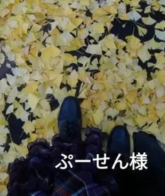 ぷーせん様