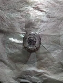 Item thumbnail for item 042ef10a-f992-47ce-bb35-022ea44a66fd