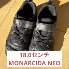 【18.0cm】ミズノ　モナルシーダネオ　トレーニングシューズ