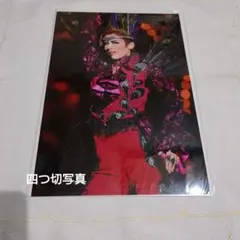 明日海りお 四開寫真