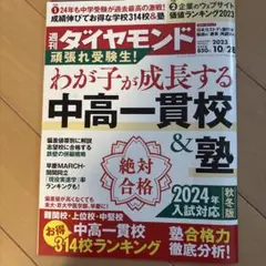 Item thumbnail for item 6567075f-e002-4f88-8567-db6aa47cffef