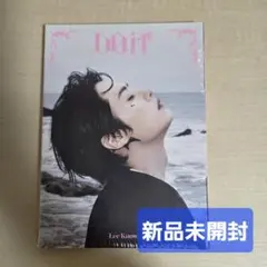 StrayKids スキズ リノ doit accordion 新品未開封