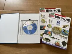 Item thumbnail for item c4fe0428-6225-41aa-91f1-03bdc96ddc4a