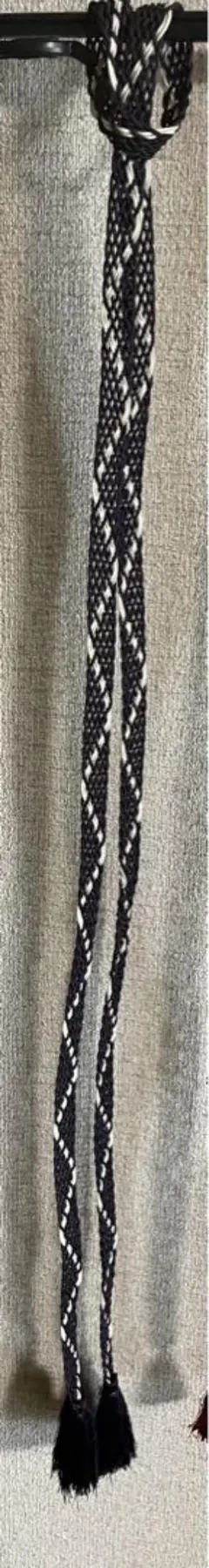 Item thumbnail for item 80b08b94-e7bc-4ee1-839a-43bb3c2b63d1