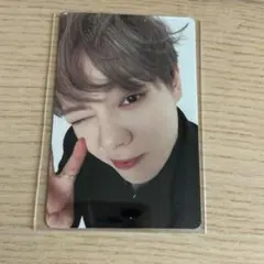 J01 WDWG B盤 セルカ 鶴房汐恩