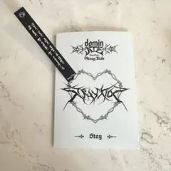 ♡スキズ ATE ソウル STAYZONE メッセージトレカ入れ　バンチャン♡