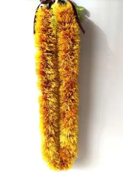 ヤーン レイ(ウルベヒヤーン)