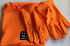 Item thumbnail for item ecf8f8b3-0806-4a3b-951e-b2bf23a3c53b