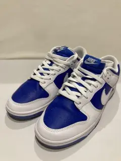 Nike Dunk Low Retro Racer Blue and White